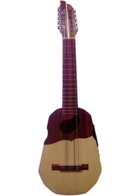 Professional Electroacoustic Ronroco - Naranjillo Wood