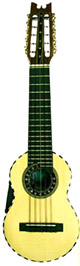 Electroacoustic Concert Charango - Jacarand Wood