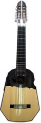 Professional - Acoustic-Electric Ronroco Naranjillo Wood