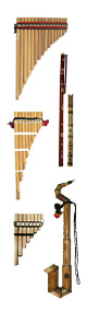 Set of 29 Wind Instruments