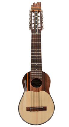 Professional charango with naranjillo wood, jacaranda diapason and elegant lines.