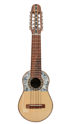 Professional charango with naranjillo wood, jacaranda diapason and mouth with lead nacar.